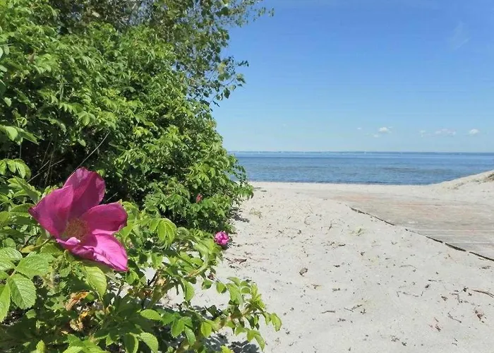 Апартаменты Altes Zollhaus, Fewo- Nr 5 Barendorf (Mecklenburg-Vorpommern)